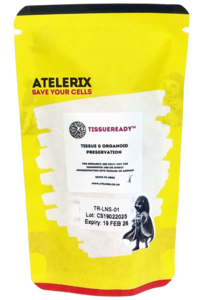 TissueReady TissueReady