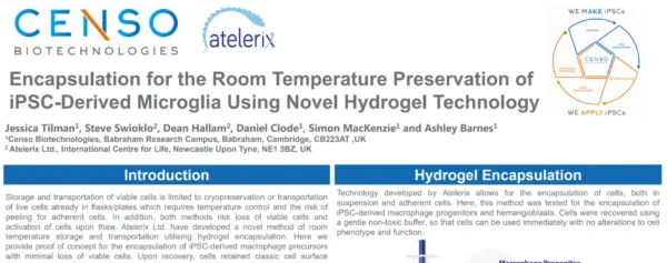 Encapsulation for the Room Temperature Preservation of iPSC-Derived Microglia Using Novel Hydrogel Technology