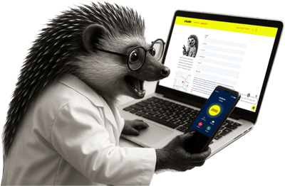 Hedgehog with laptop