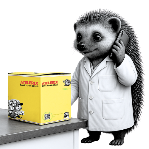 box and phone hog box and phone hog