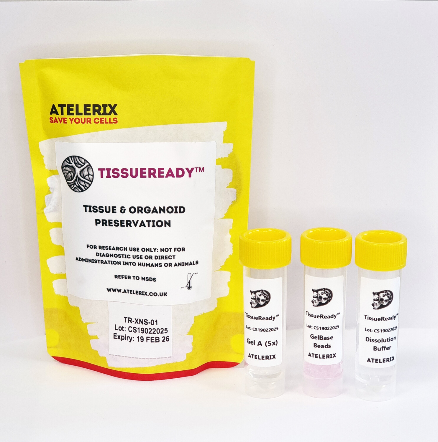 TissueReady™ - Image 3