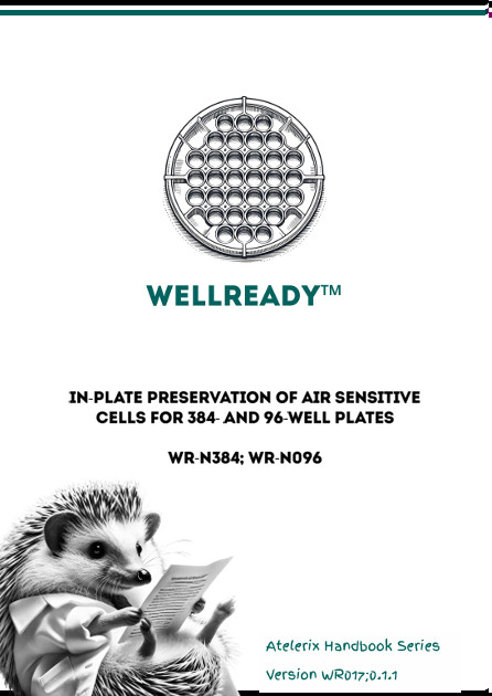 WRn384 PR Thumb