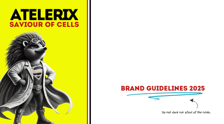 brand guidelines thumb