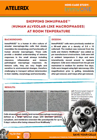 Shipping Immuphage™ (human Alveolar-like Macrophages) at Room Temperature