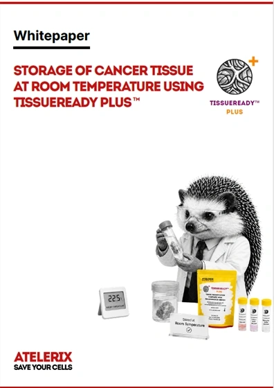 Storage of cancer tissue at room temperature using TissueReadyâ„¢ PLUS