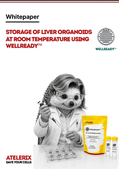 Storage of liver organoids at room temperature using WellReadyâ„¢