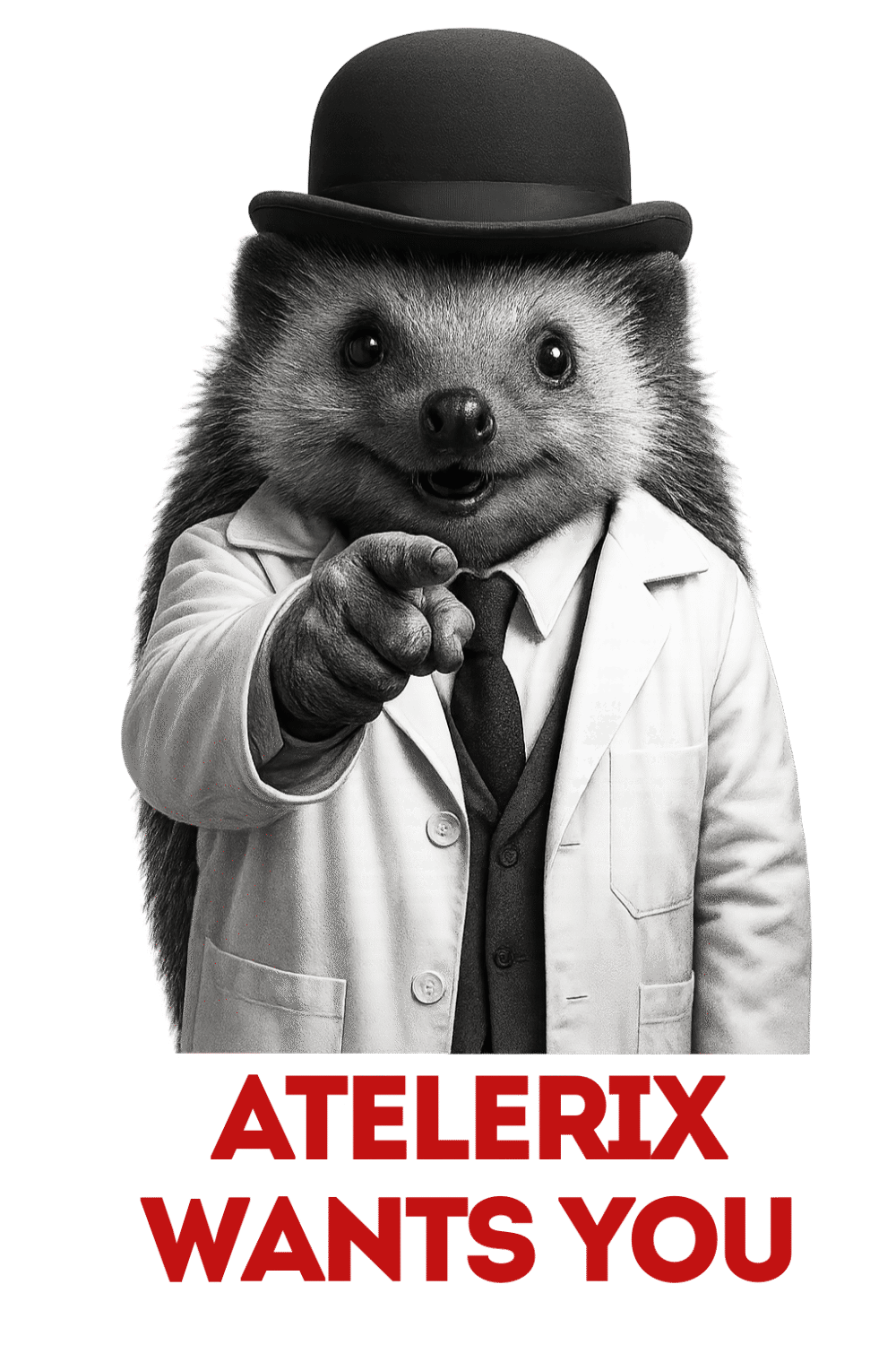 atelerix wants you (1) atelerix wants you (1)