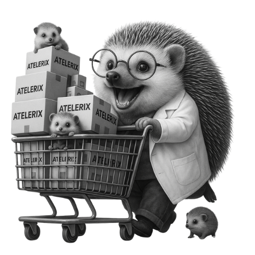 shipping shipping