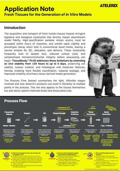 Fresh Tissues for the Generation of In Vitro Models - Application Note